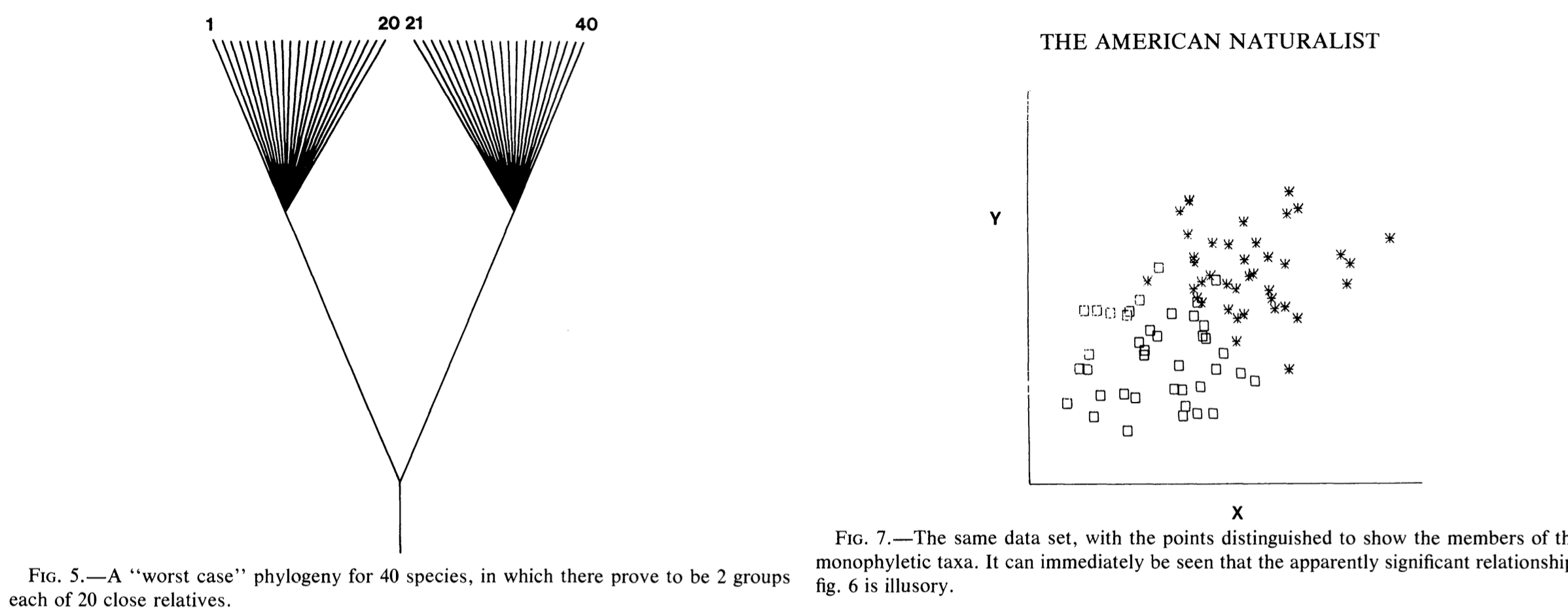 Figures 5 and 7 from Felenstein, 1985 showing a hypothetical phylogeny and how the traits of those taxa might, through shared ancestry and nonindependence, bias a regular regression analysis.