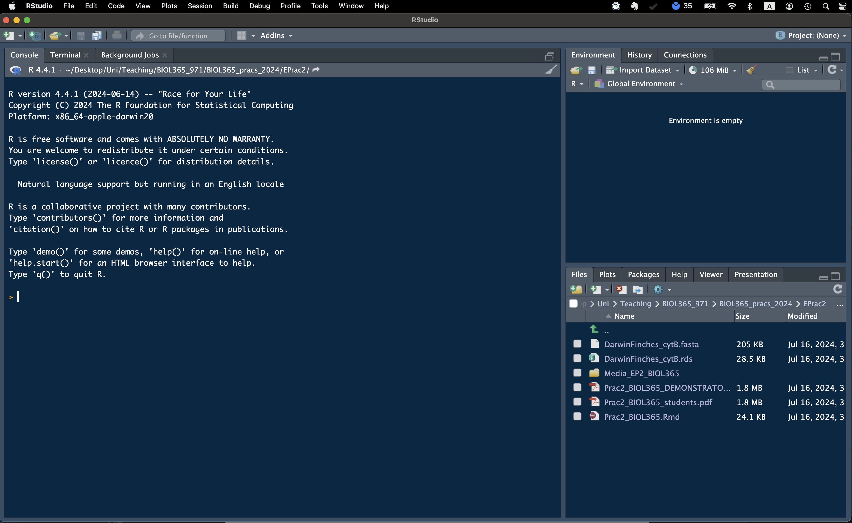 An empty RStudio page